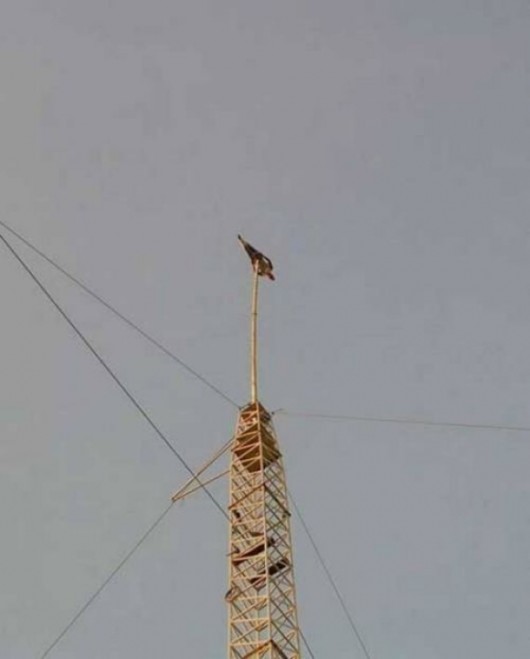 The Extreme Adventure Photos