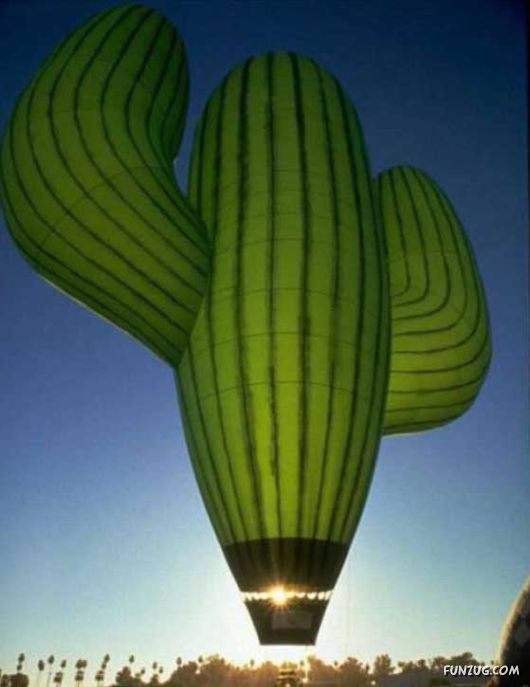 Lovely Balloons You've Never Seen Before