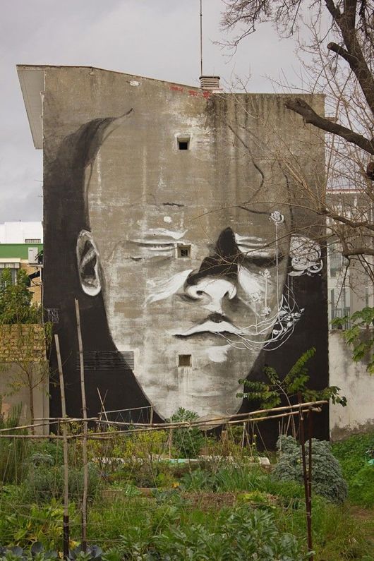 Amazing Street Art Photos