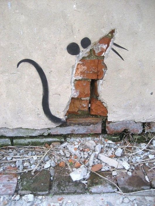 Amazing Street Art Photos