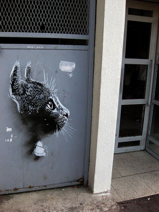 Amazing Street Art Photos