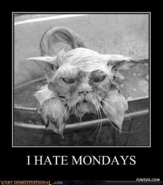 Heres Your Case Of The Mondays