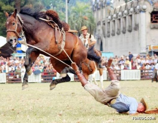 A Collection of OMG Moments