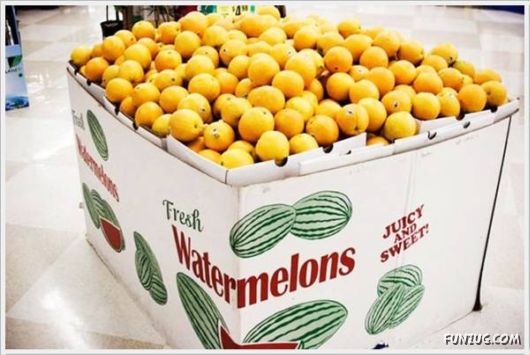 Top Crazy Fail Pictures