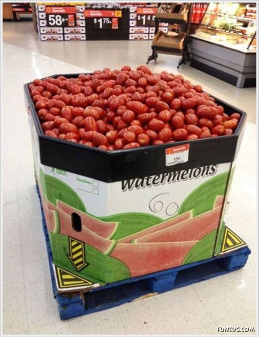 Top Crazy Fail Pictures