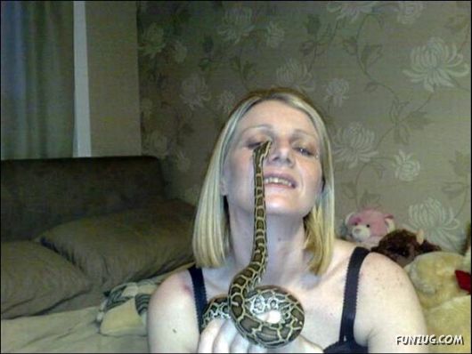 Running a Zoo at Home