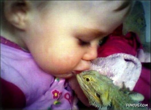 Running a Zoo at Home