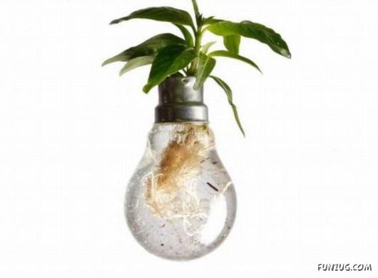 Creative Art In A Bulb