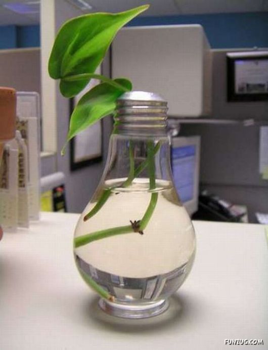 Creative Art In A Bulb
