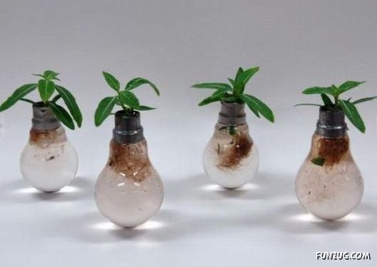 Creative Art In A Bulb