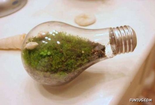 Creative Art In A Bulb