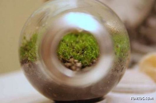 Creative Art In A Bulb