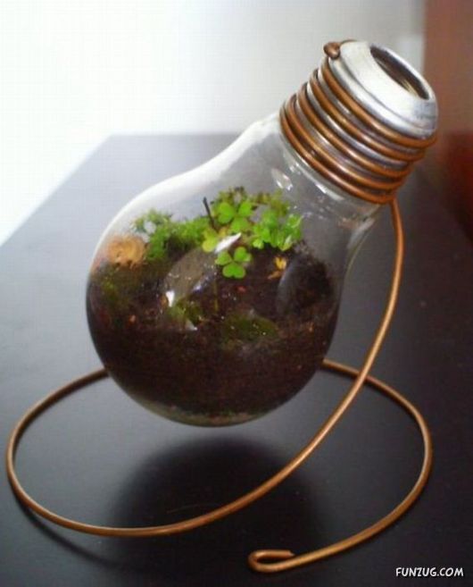 Creative Art In A Bulb