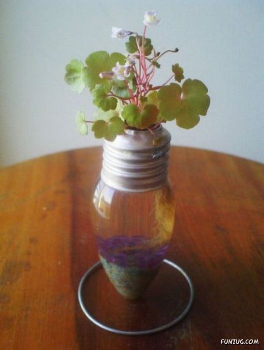 Creative Art In A Bulb