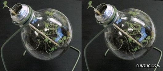 Creative Art In A Bulb