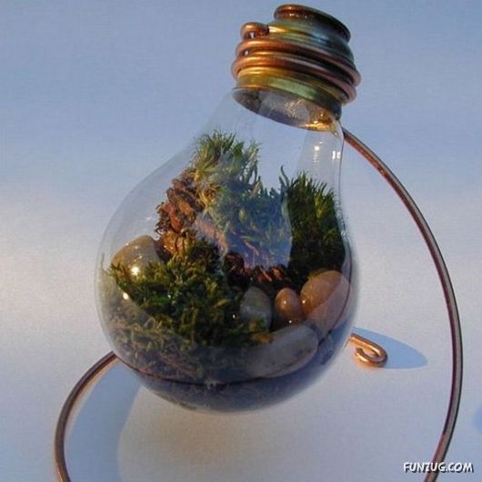 Creative Art In A Bulb