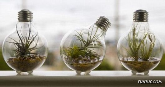 Creative Art In A Bulb