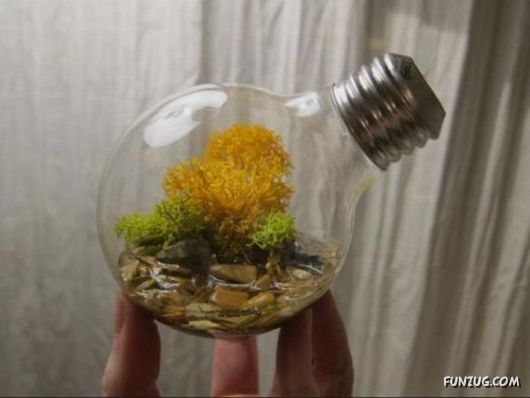 Creative Art In A Bulb