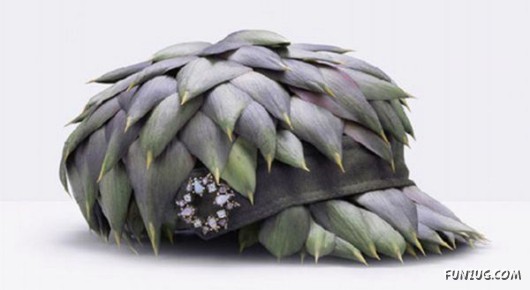 Creative Edible Accessories