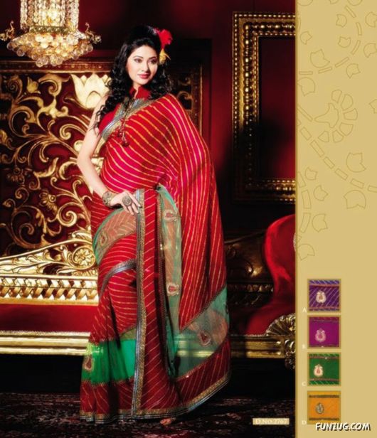 Traditional Indian Bridal Sarees