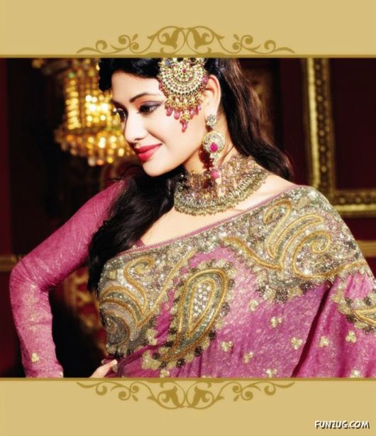 Traditional Indian Bridal Sarees