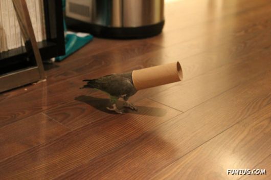 Some Of The Best Funny Pictures