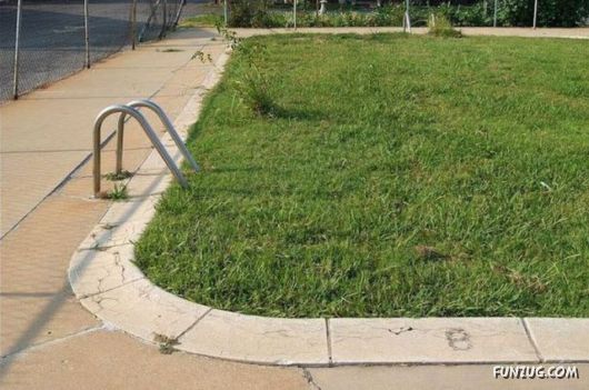 Some Of The Best Funny Pictures