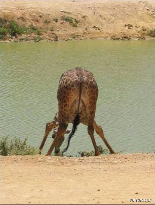 Cool Funny Daily Pic Mania