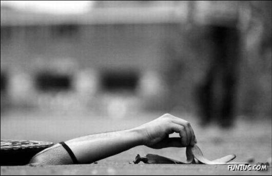 Cool Funny Daily Pic Mania