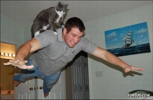 Cool Funny Daily Pic Mania