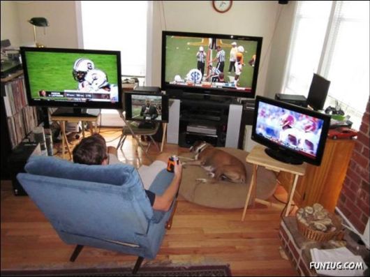 Cool Funny Daily Pic Mania