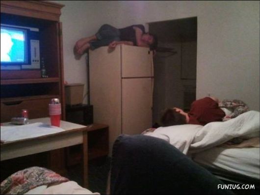 Cool Funny Daily Pic Mania