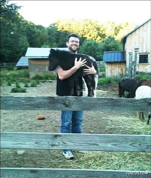 Cool Funny Daily Pic Mania