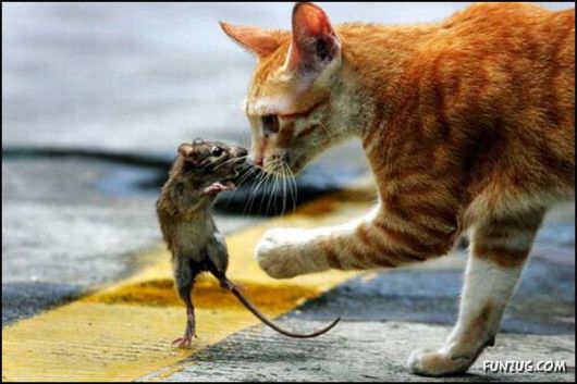 Cute Daily Funny Pics