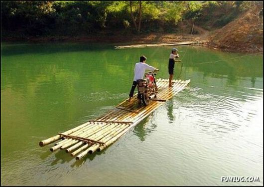 Cute Daily Funny Pics