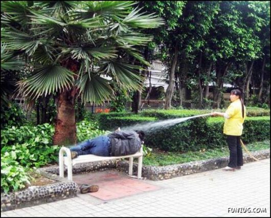 Cute Daily Funny Pics