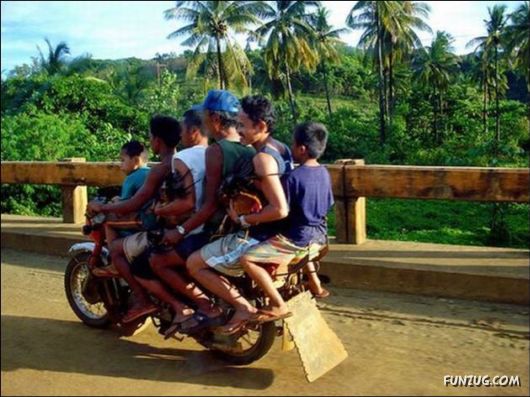 Funny Cargo Transportation Pictures