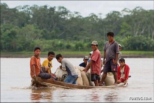 Funny Cargo Transportation Pictures