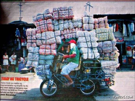 Funny Cargo Transportation Pictures