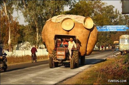 Funny Cargo Transportation Pictures
