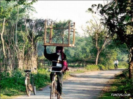 Funny Cargo Transportation Pictures