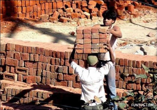 Funny Cargo Transportation Pictures