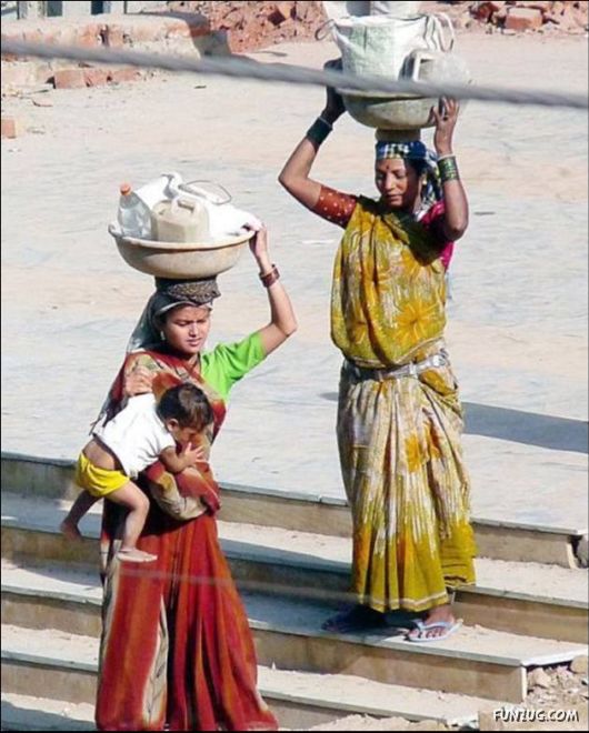 Funny Cargo Transportation Pictures