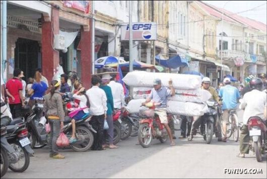 Funny Cargo Transportation Pictures