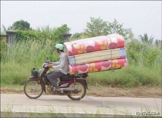 Funny Cargo Transportation Pictures