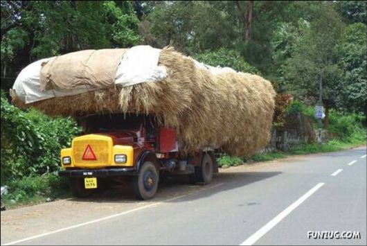 Funny Cargo Transportation Pictures