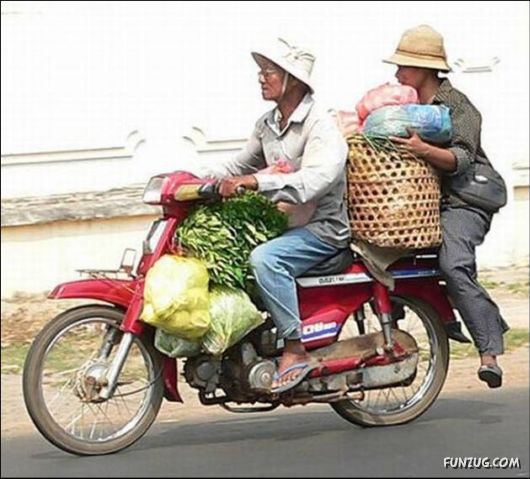 Funny Cargo Transportation Pictures