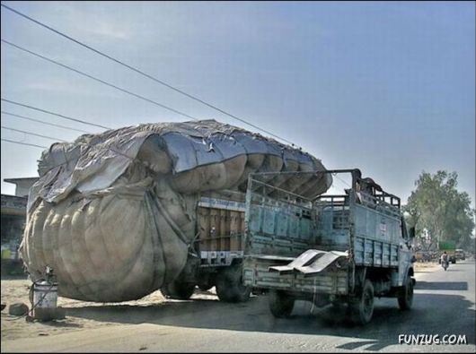 Funny Cargo Transportation Pictures