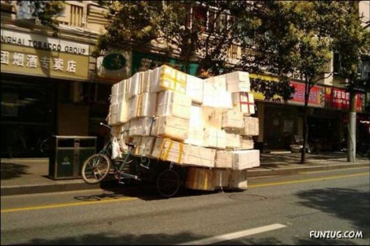 Funny Cargo Transportation Pictures