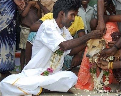 It Happens only in INDIA